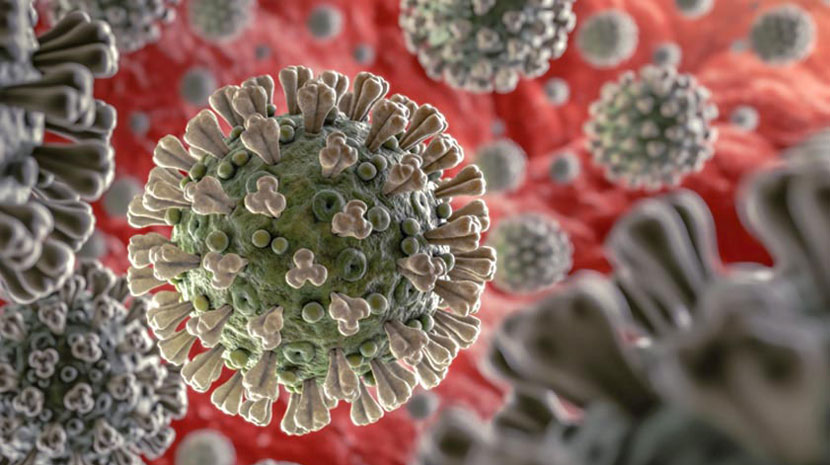 Définition du Corona virus et covid 19